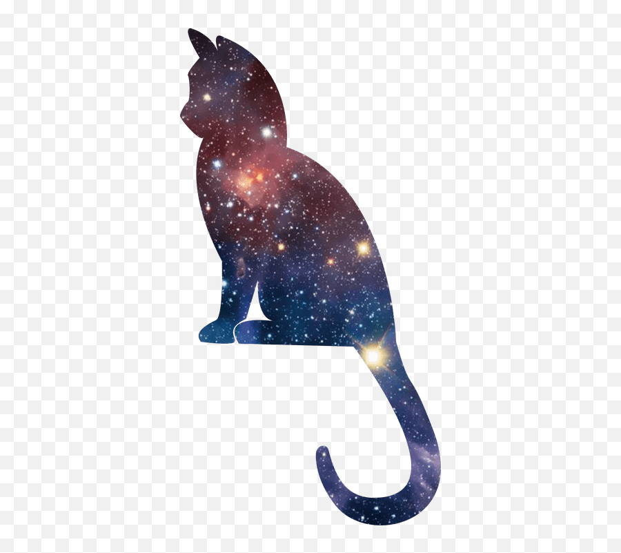 Cool - Black Cat Emoji,Dancing Cat Emoji