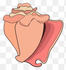Graphic Conch Shell - Cartoon Conch Shell Png Emoji,Conch Shell Emoji