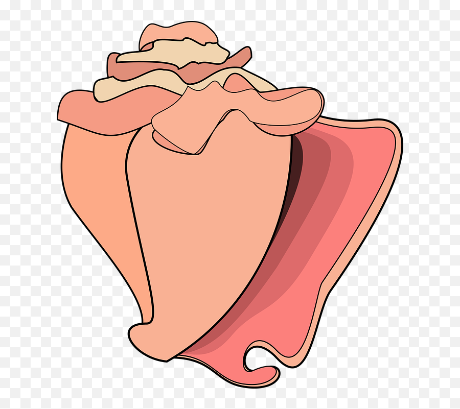Graphic Conch Shell - Cartoon Conch Shell Png Emoji,Conch Shell Emoji