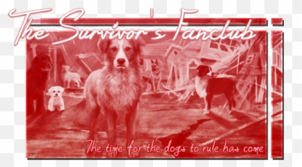 Kaylau0027s Memories Warrior Cats Forums - Ancient Dog Breeds Emoji