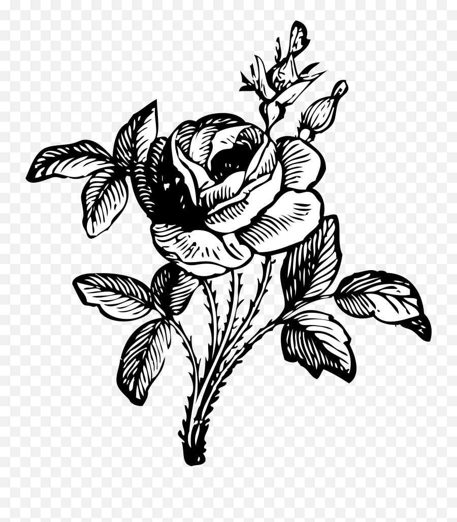 Free Black And White Rose Drawing - Flower Bouquet Clipart Black And White Emoji,Black And White Flower Emoji