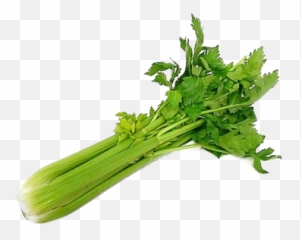 Dlpng Png And Vectors For Free Download - Dlpngcom Transparent Background Celery Png Emoji,Celery Emoji