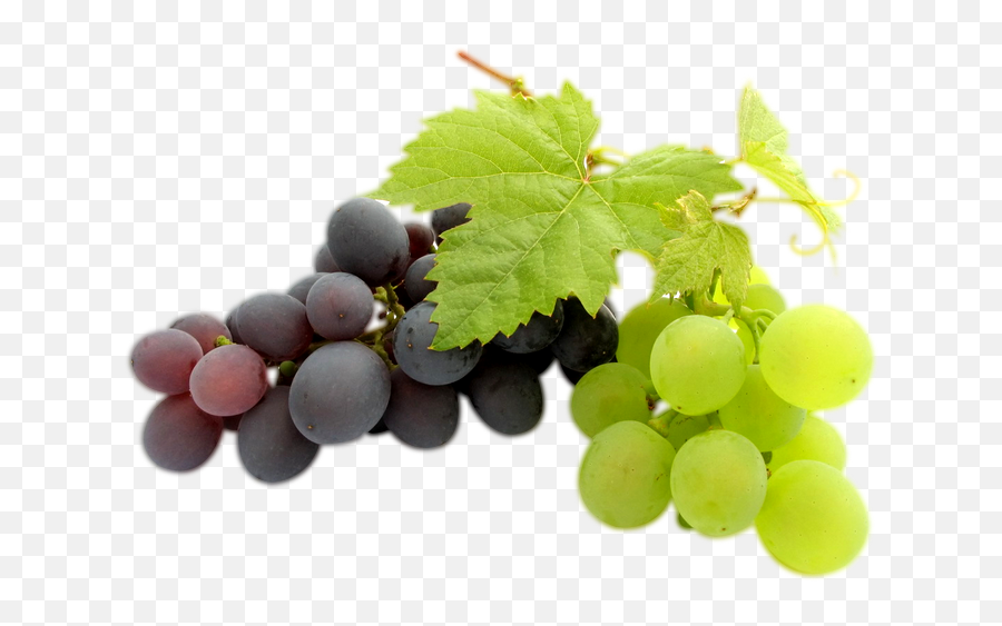 Download Png Balloon Image - Best Pure Grape Seed Oil Wine Grapes Png Emoji,Grape Emoji Png