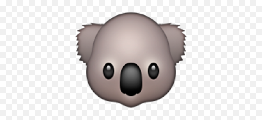 Profile Icon Emojis - Koala Emoji,Animal Emoji App