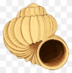 Twisting Conch Shell Vector Clipart - Clip Art Emoji,Conch Shell Emoji