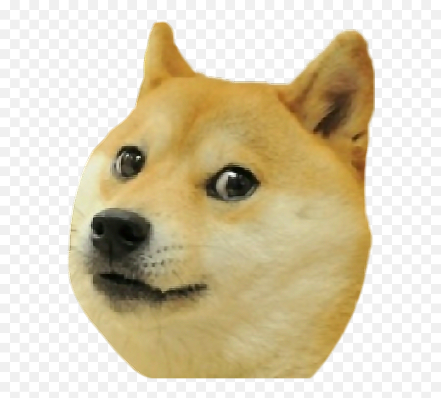 Doge Piese Doge Dog Shiba Inu - Transparent Background Doge Head Emoji,Shiba Inu Emoji