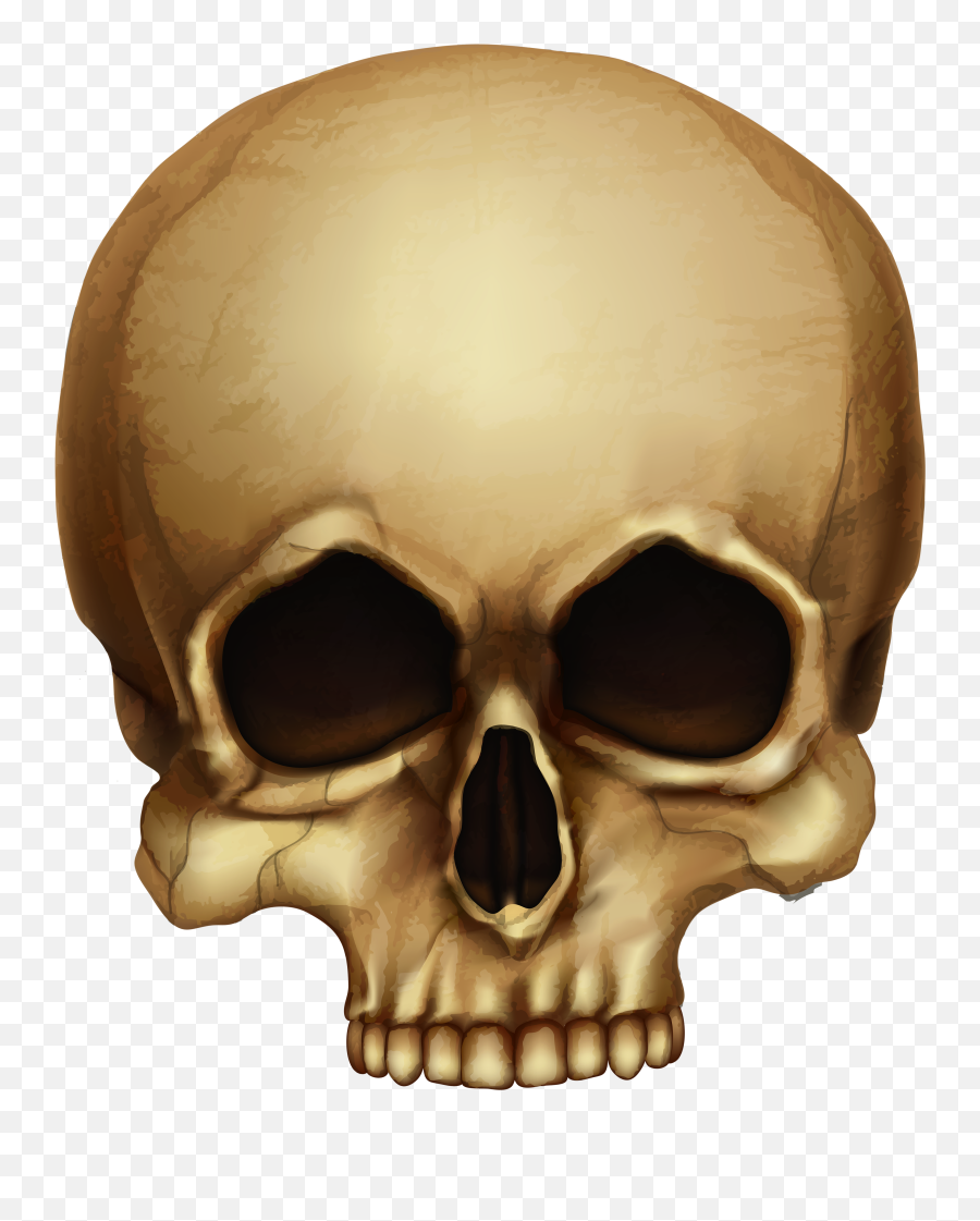 Skull Emoji Png - Transparent Halloween Skull,Skeleton Emoji