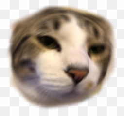Trevorsayswut - Anime Cute Discord Emojis