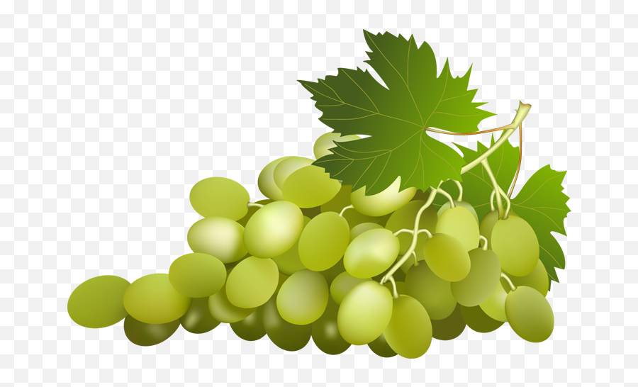 Grapes Vine Clipart Grape With Vine Leaf Clip Art Id Image - Green Grapes Clip Art Emoji,Grape Emoji