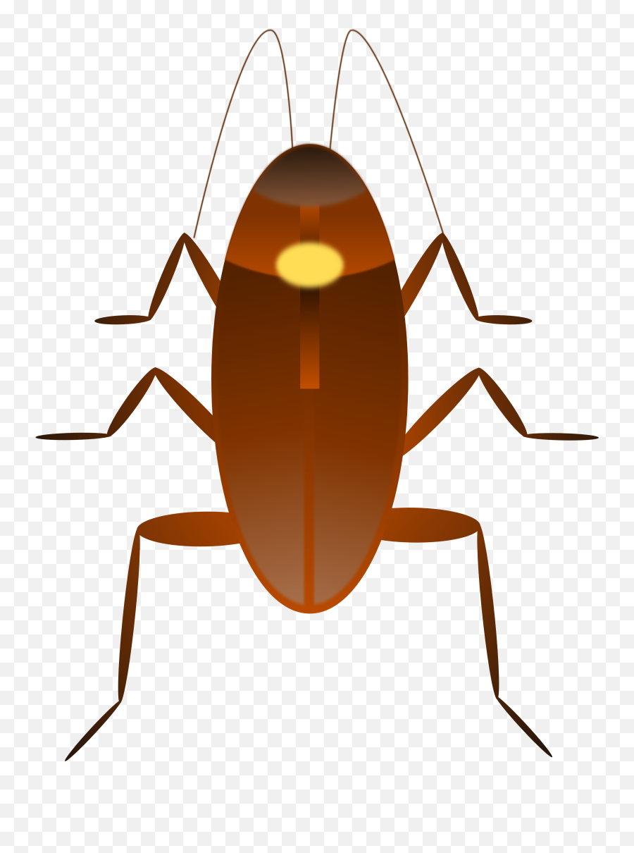 Free Cockroach Silhouette Download - Cockroach Png Clipart Emoji,Bed Bug Emoji