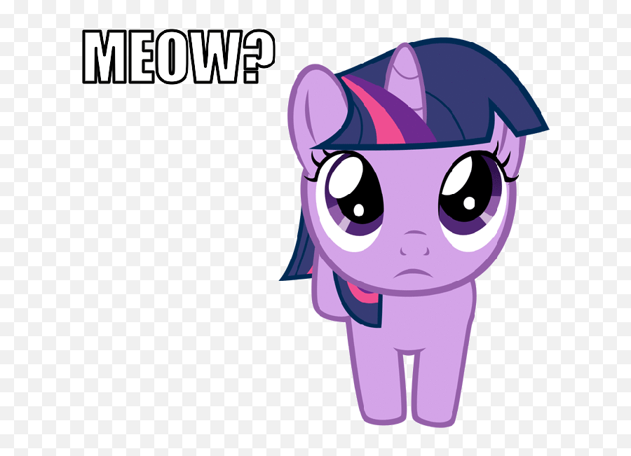 203694 Animated Cat Filly Image Macro Pony Safe Simple Cat - My Little Pony Twilight Gifs Emoji,Nyan Cat Emoji