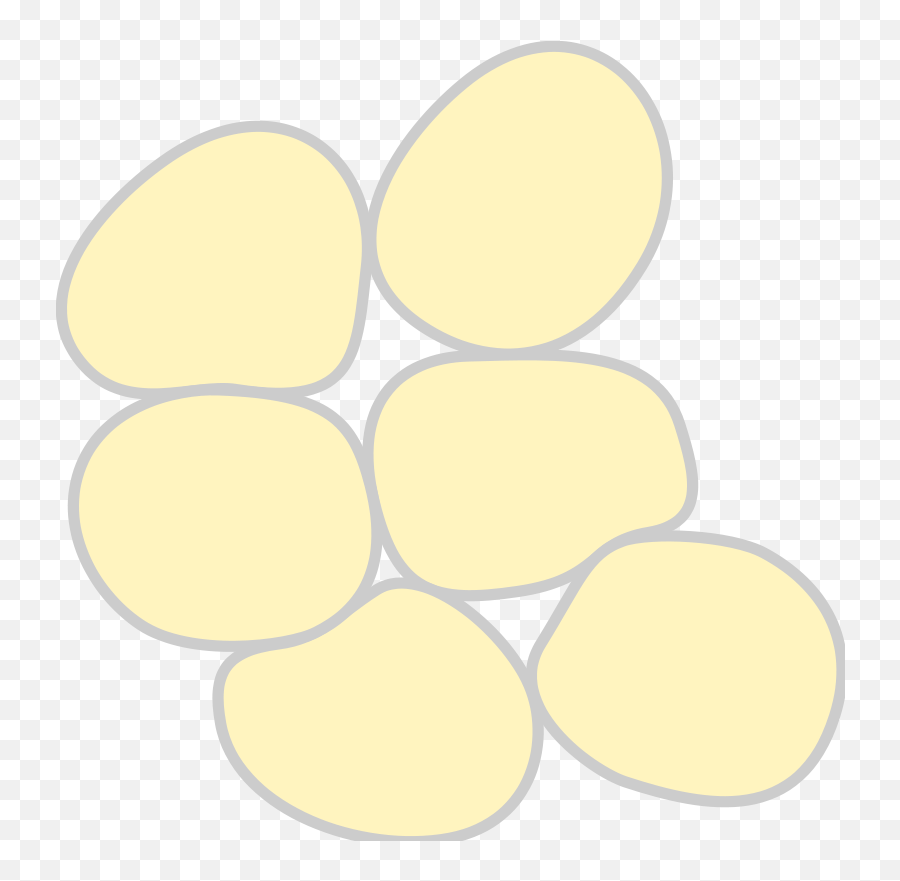 Tissue Clip Art Download - Clip Art Library Adipocyte Png Emoji,Tissue Emoji