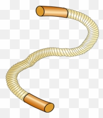 Thick Sports Rope Vector Image - Robe Cliparts Emoji