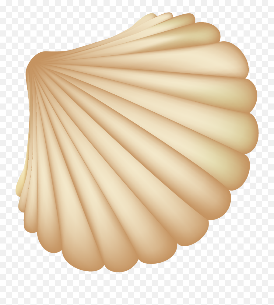 Beautiful Seashells Vector Png Download - Sea Shells Vector Png Emoji,Shell Emoji