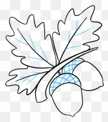 How To Draw Acorns - Really Easy Drawing Tutorial Drawing Acorn Emoji,Acorn Emoji