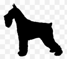 Free Standard Poodle Silhouette Download Free Clip Art - Standard Schnauzer Emoji,Poodle Emoji