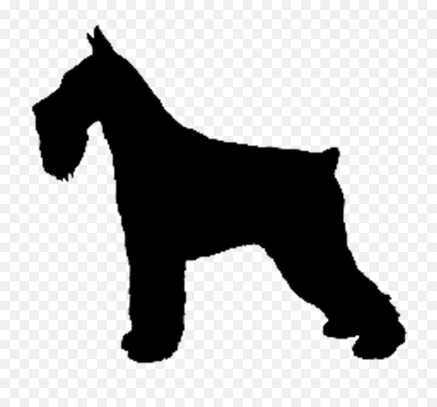 Free Standard Poodle Silhouette Download Free Clip Art - Standard Schnauzer Emoji,Poodle Emoji