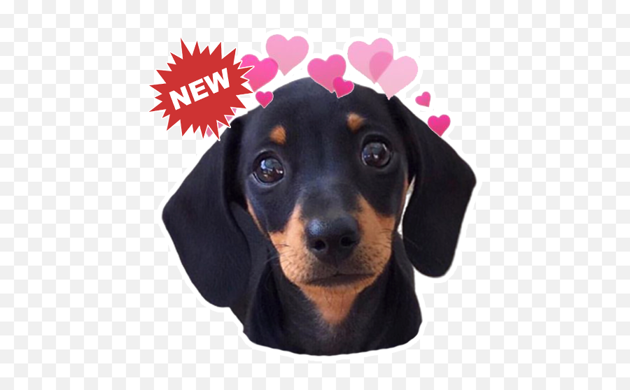 Dachmoji Dachshund Emojis U0026 Stickers Installeer Apk Android - Tierno Imagenes De Perritos Salchichas,Grim Reaper Emoji