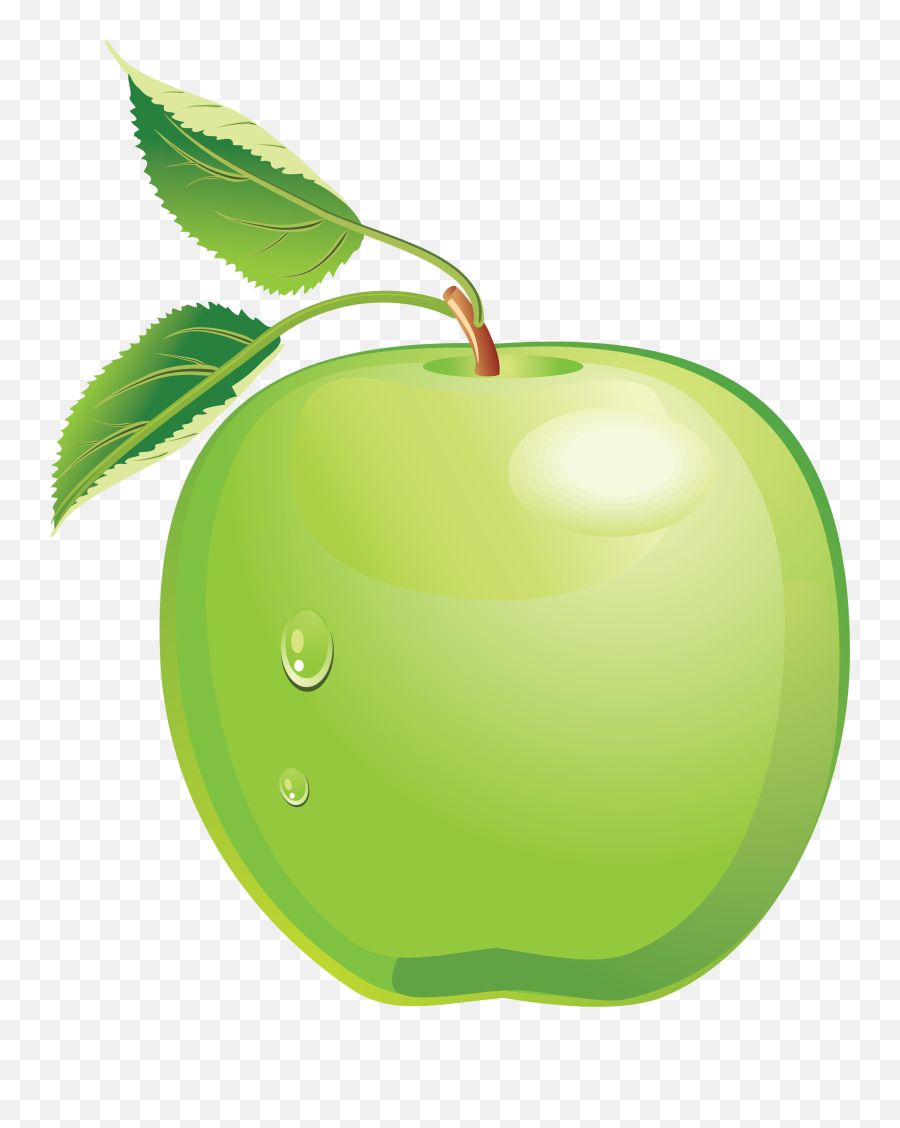 Green Apple Vector Png Picture - Green Apple Vector Png Emoji,Green Apple Emoji