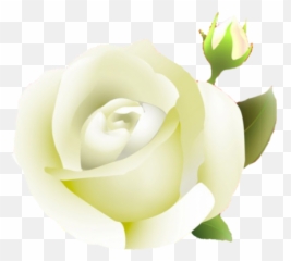 Images Of Rose Download Free Clip Art Emoji,White Rose Emoji