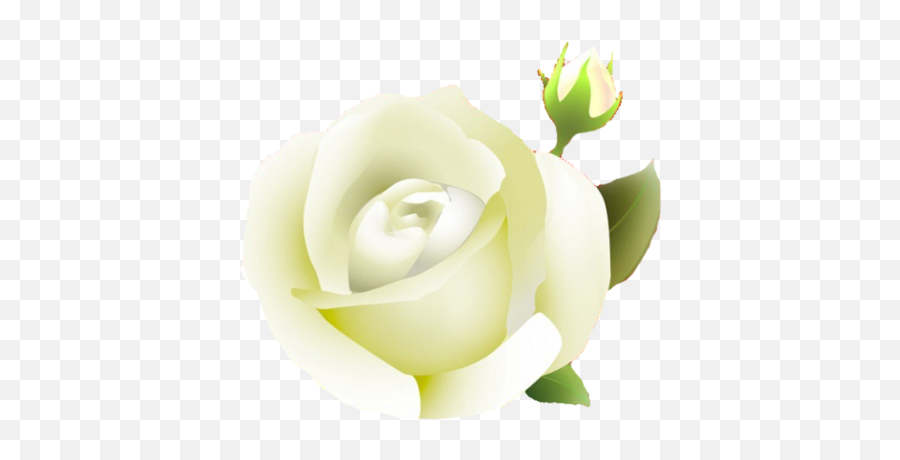 Images Of Rose Download Free Clip Art Emoji,White Rose Emoji
