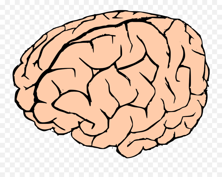 Brain Png Files - Brain Clip Art Emoji,Emoji Brain