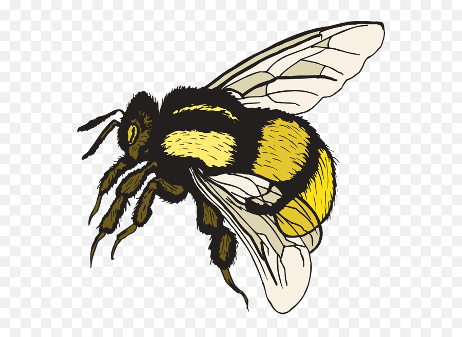 Bumble Bee Cute Bee Clip Art Love Bees - Bumblebee Clipart Emoji,Bumblebee Emoji
