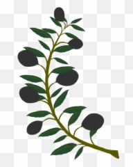 Olive Branch With Black Olives - Clip Art Emoji