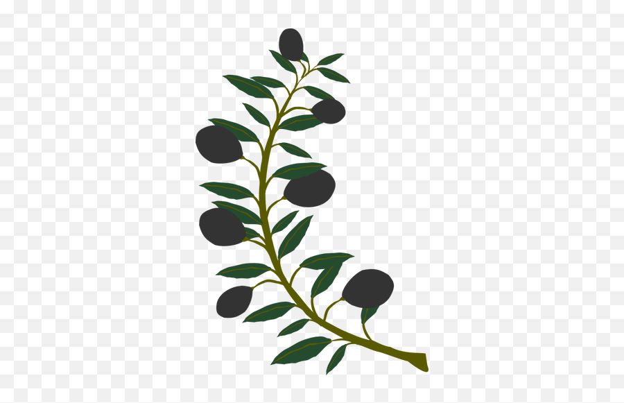 Olive Branch With Black Olives - Olive Branch Clip Art Emoji,Olive Branch Emoji