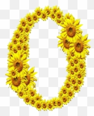 letter O sunflower yellow Sticker by jennyshaghira - Sunflower Letter Emoji