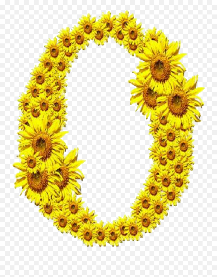 Letter O Sunflower Yellow Sticker By Jennyshaghira - Sunflower Letter O Emoji,Letter O Emoji