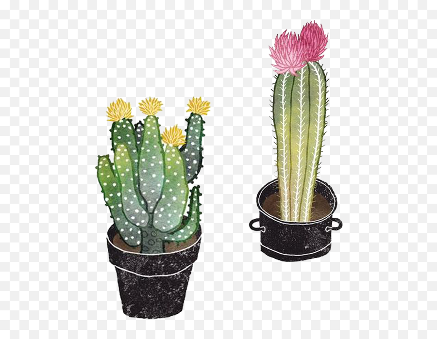 Png - Cactus Cute Plant Png Emoji,Succulent Emoji