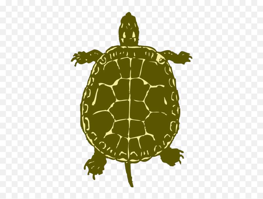 Turtle Png Svg Clip Art For Web - Download Clip Art Png Painted Turtle Top View Emoji,Google Turtle Emoji