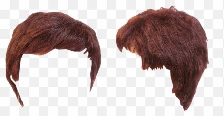 Hairdress Hair Guy Model Beauty - Pelo Png Emoji,Bat Emoticon
