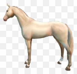 Sso Horse Freetoedit - Stallion Emoji,Horse And Muscle Emoji
