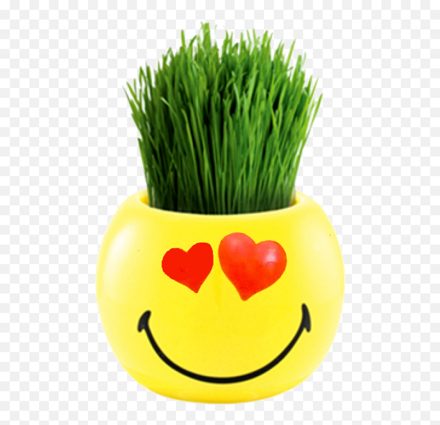 Smileys Ryegrass - Plant With Smiley Face Emoji,Plant Emoticon