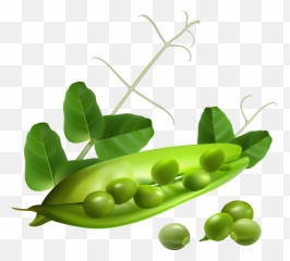 Emoji Faces Coloring Pages Coloring - Free Vector Vegetables,Peas Emoji