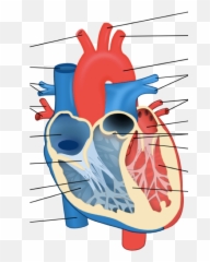 Heart - Parts Of Animal Heart Emoji,Cow Coffee Emoji