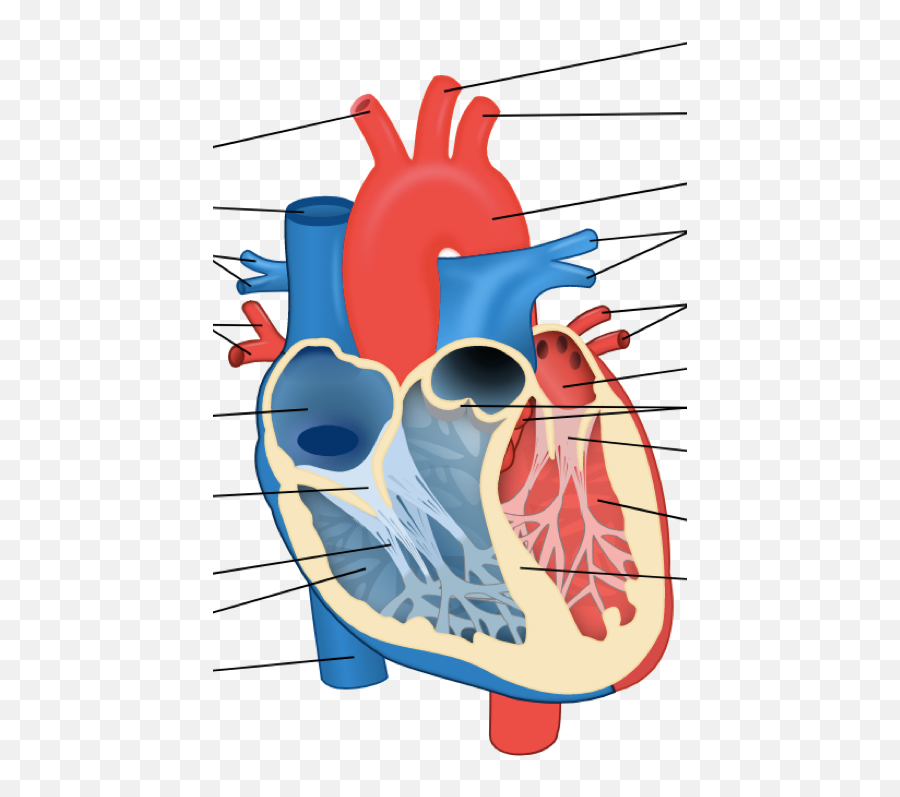 Heart - Parts Of Animal Heart Emoji,Cow Coffee Emoji