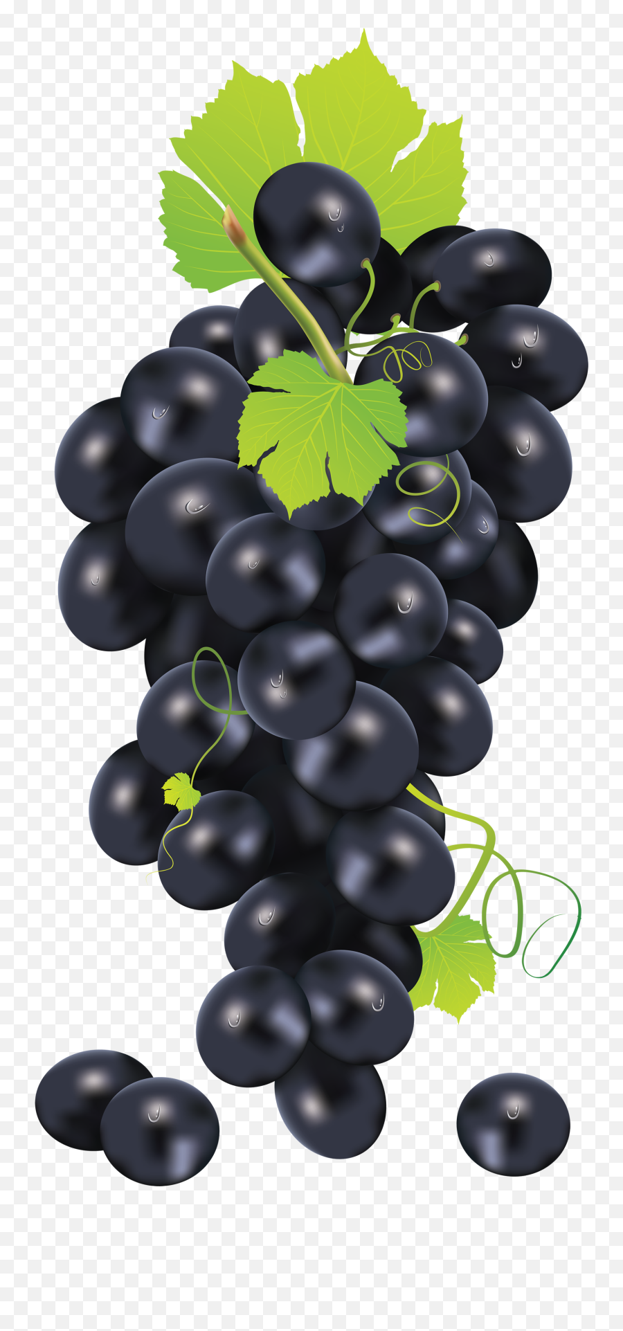 Black Grape Png Image - Black Grapes Png Transparent Transparent Black Grapes Png Emoji,Grape Emoji