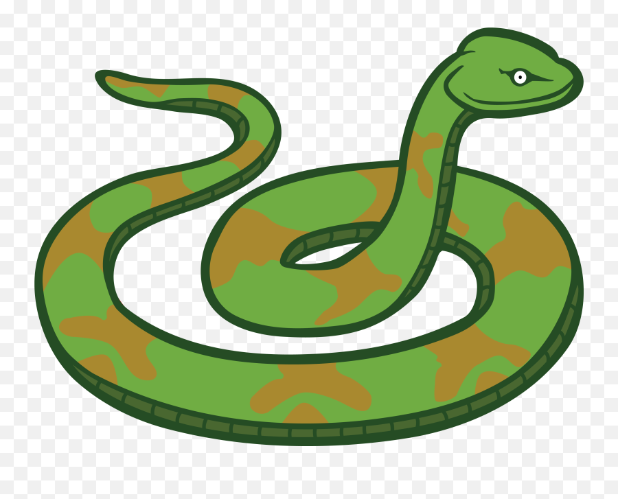 Chris Basten - Snake Clipart Png Emoji,Snake Emoji Png