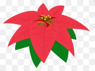 Pink Leaf Cliparts 22 Buy Clip Art - Flor De Nochebuena Png Bico De Papagaio Desenho Emoji,Leaf Pig Emoji