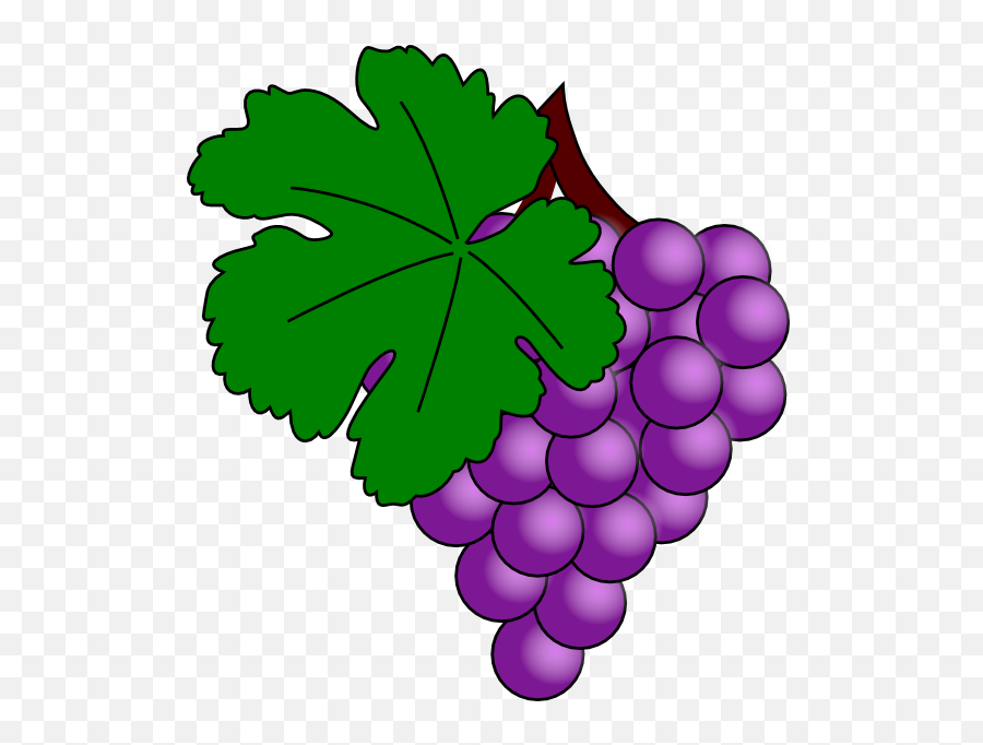 Grapes Clipart Grape Soda Grapes Grape Soda Transparent - Grapes Clip Art Emoji,Grape Emoji
