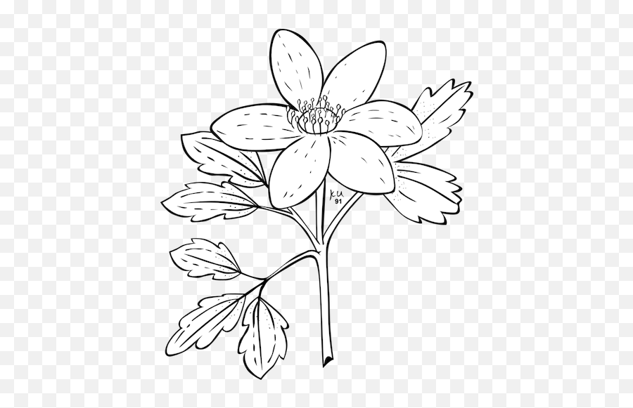 Simple Flower Image - Pasque Flower Coloring Page Emoji,Hawaiian Flower Emoji