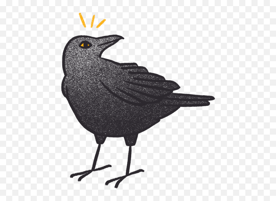 Crow Bro - New Caledonian Crow Emoji,Crow Emoji