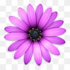 Adjust Cjk Graph Spacing To Double Ascii Width - Text Editor Mac Flower Emoji,Flower Emoji Copy And Paste