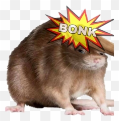 Bonk Rat Meme Sticker - Bonk Meme Rat Emoji,Rat Emoji