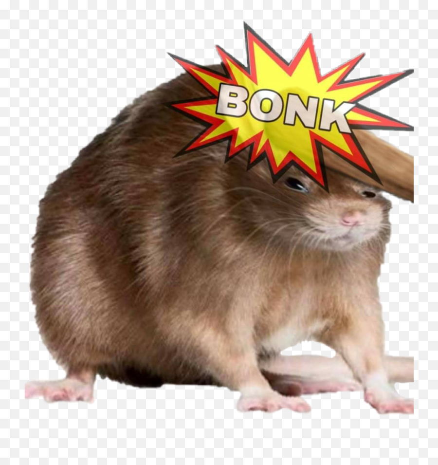 Bonk Rat Meme Sticker - Bonk Meme Rat Emoji,Rat Emoji