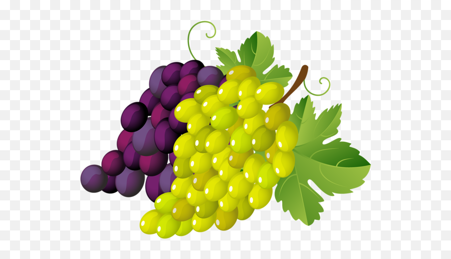 Grape Gallery Recent Updates Clip Art Image - Grapes Clipart Emoji,Grape Emoji