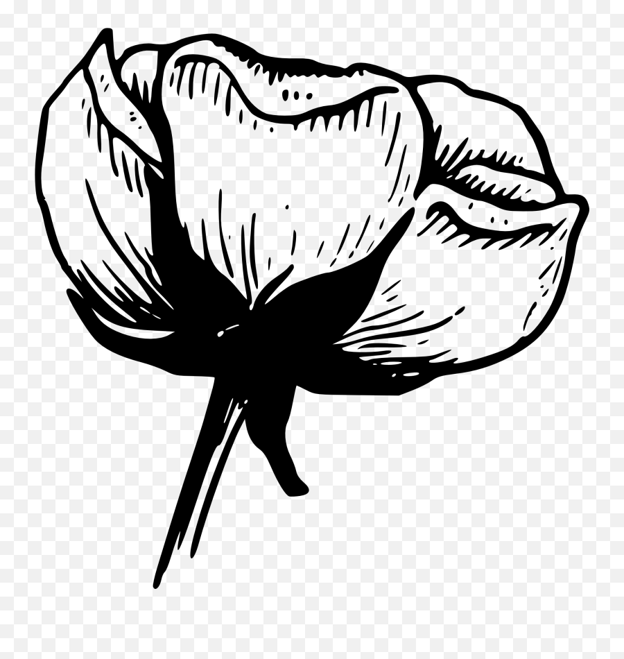 Stock Flower Black And White Png - Black And White Photo Simple Emoji,Black And White Flower Emoji